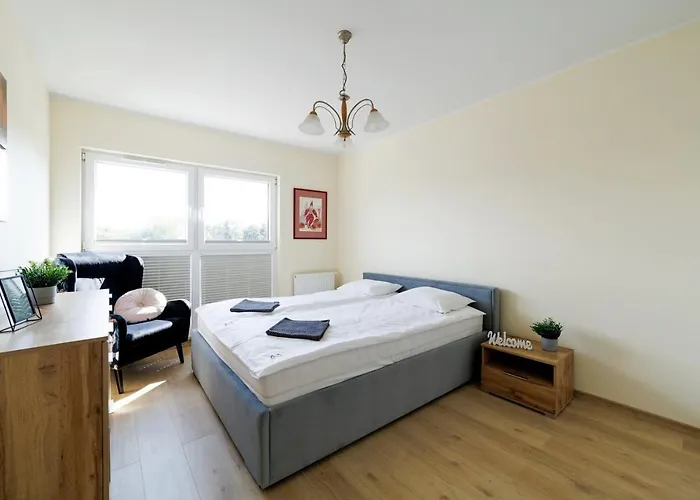 Marinus Prostywynajem Brzezno